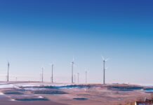 Migliorare l’efficienza aziendale grazie alla certificazione ambientale certificazione ambientale