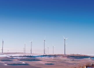 Migliorare l’efficienza aziendale grazie alla certificazione ambientale certificazione ambientale