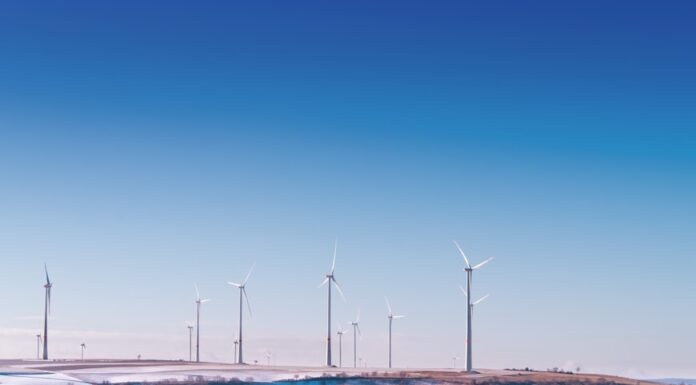 Migliorare l’efficienza aziendale grazie alla certificazione ambientale certificazione ambientale